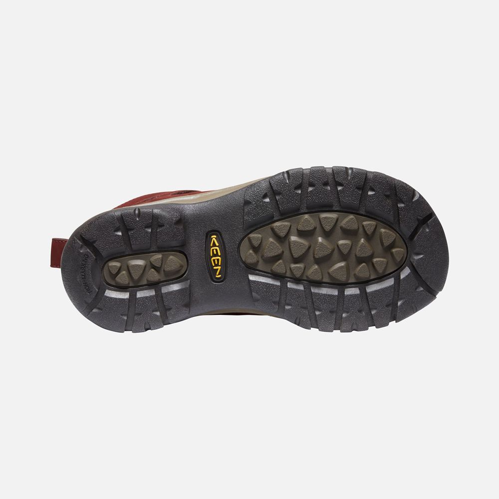 Keen Vinterkängor Dam Mörk Röda - Kaci Ii Pull On - 591674FIG